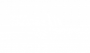 Global Alliance Automotive